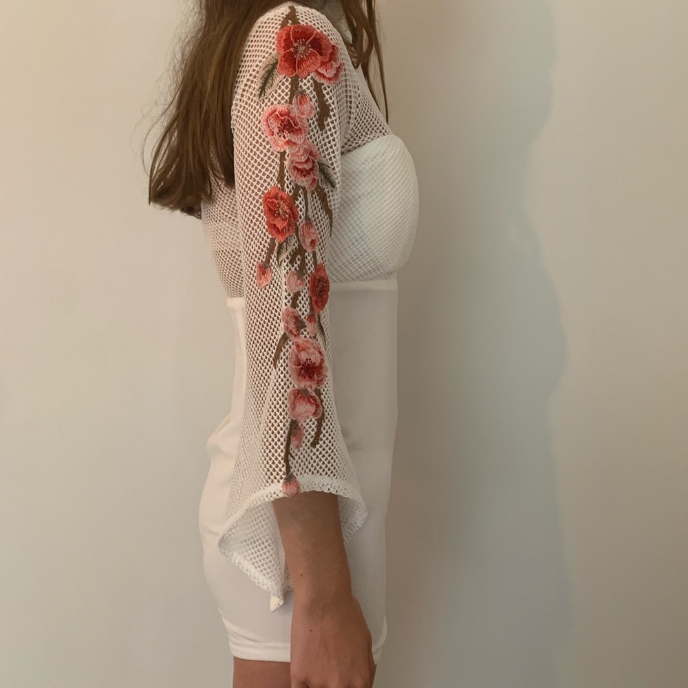 Mesh & Roses Mini Dress - Picture 3 of 5